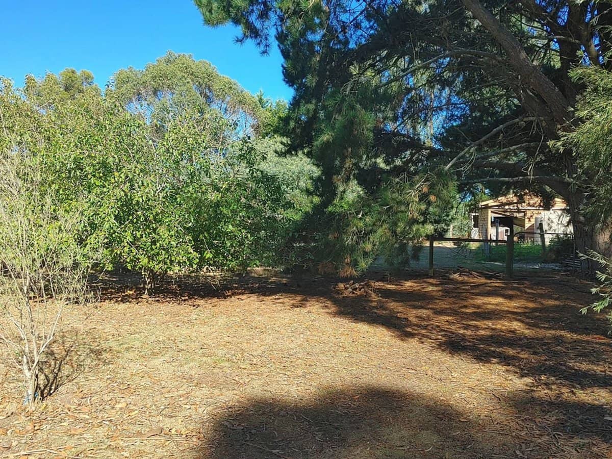 45 Brougham Street, Gordon - Thumbnail 18