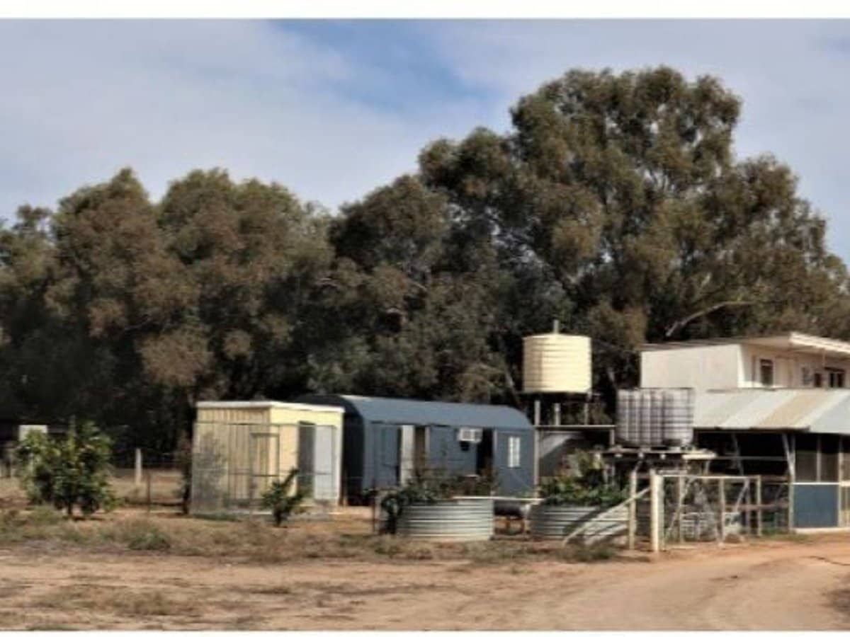 123 Budgie Street, Menindee - Thumbnail 7