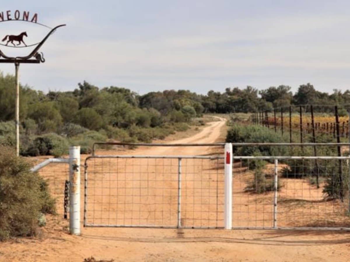 123 Budgie Street, Menindee - Thumbnail 8
