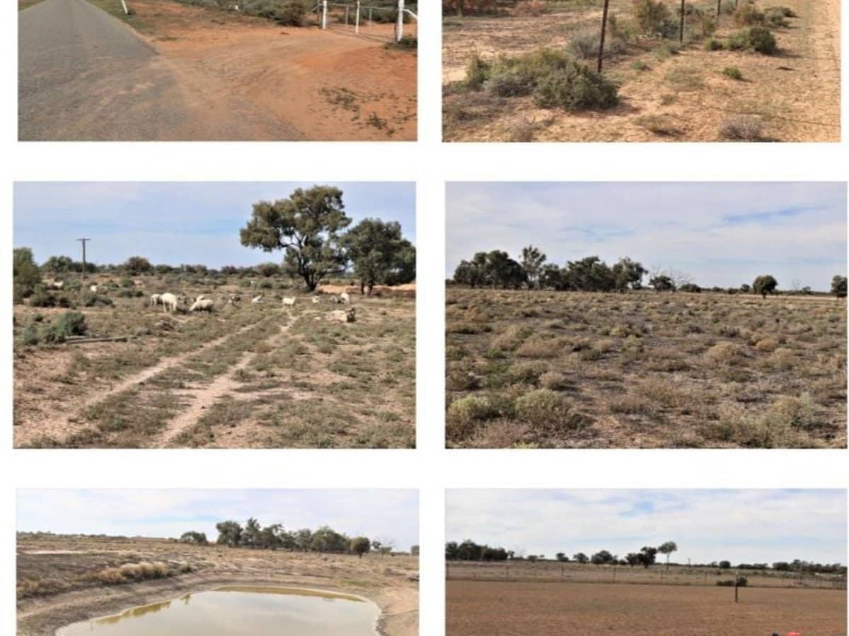 123 Budgie Street, Menindee - Thumbnail 12