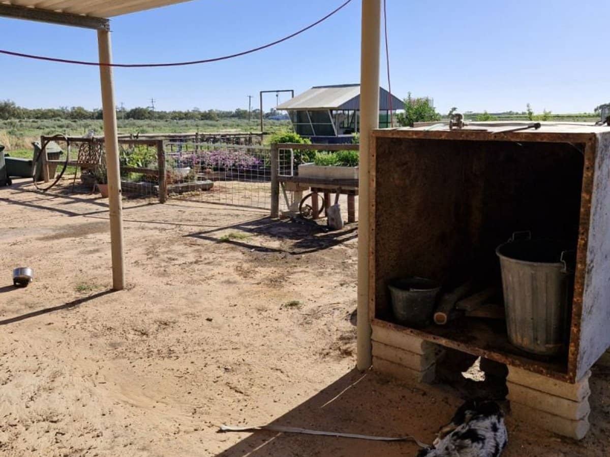 123 Budgie Street, Menindee - Thumbnail 13