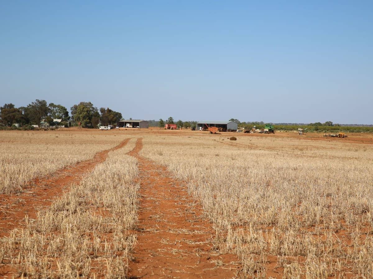 5690 Sturt Highway, Monak - Thumbnail 11