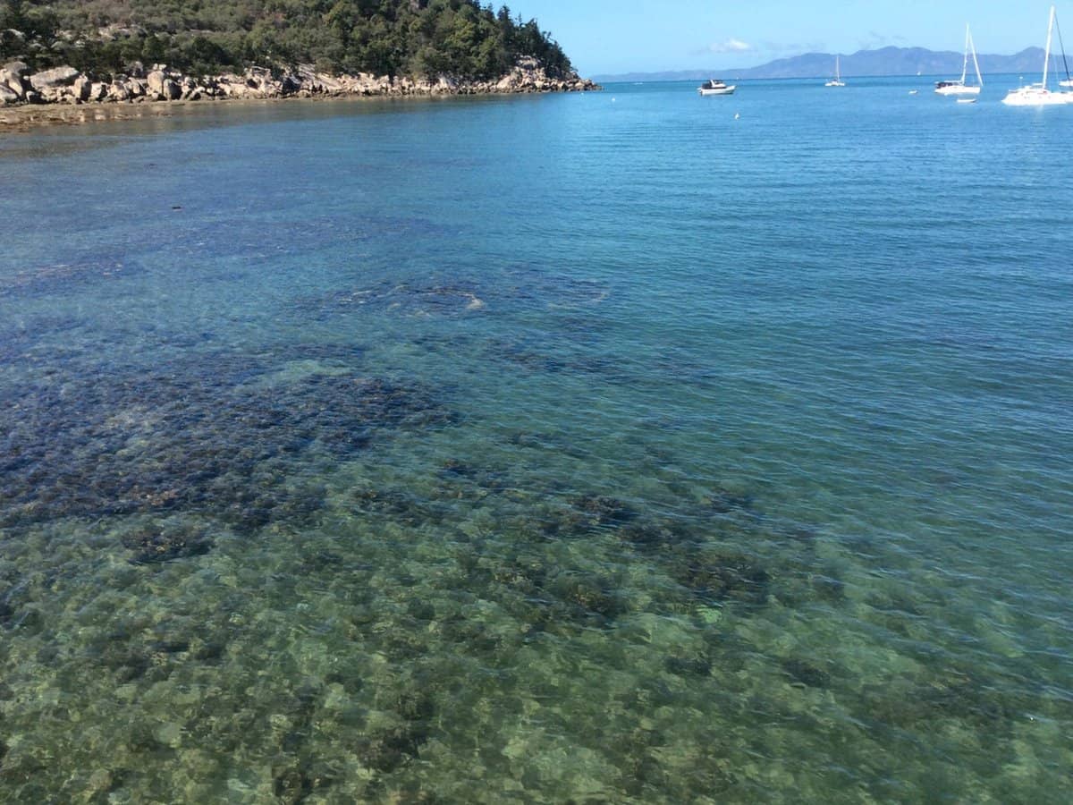 8 Esplanade, Picnic Bay - Thumbnail 6