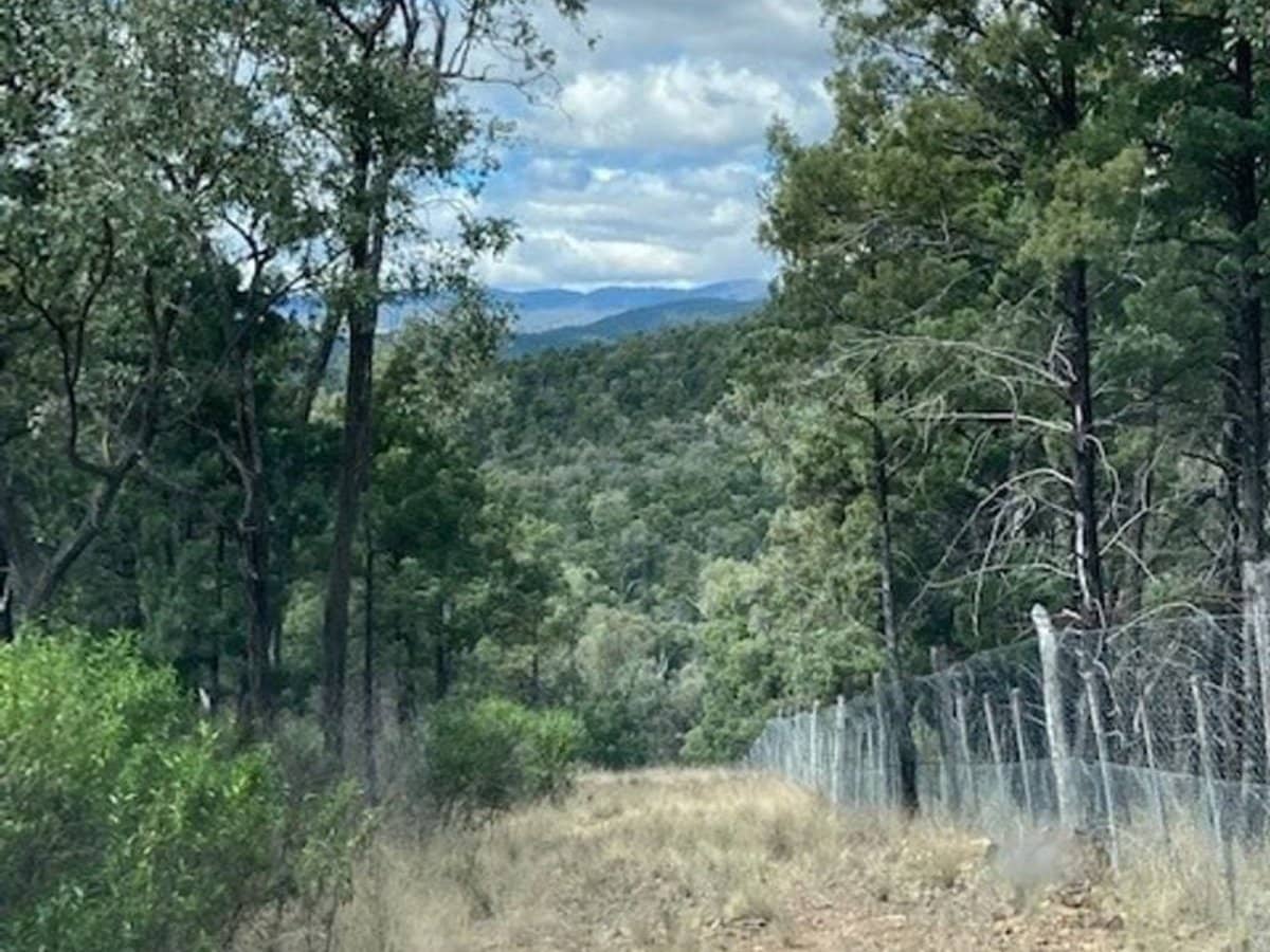 10 Mountain Creek Road, Mole River - Thumbnail 3