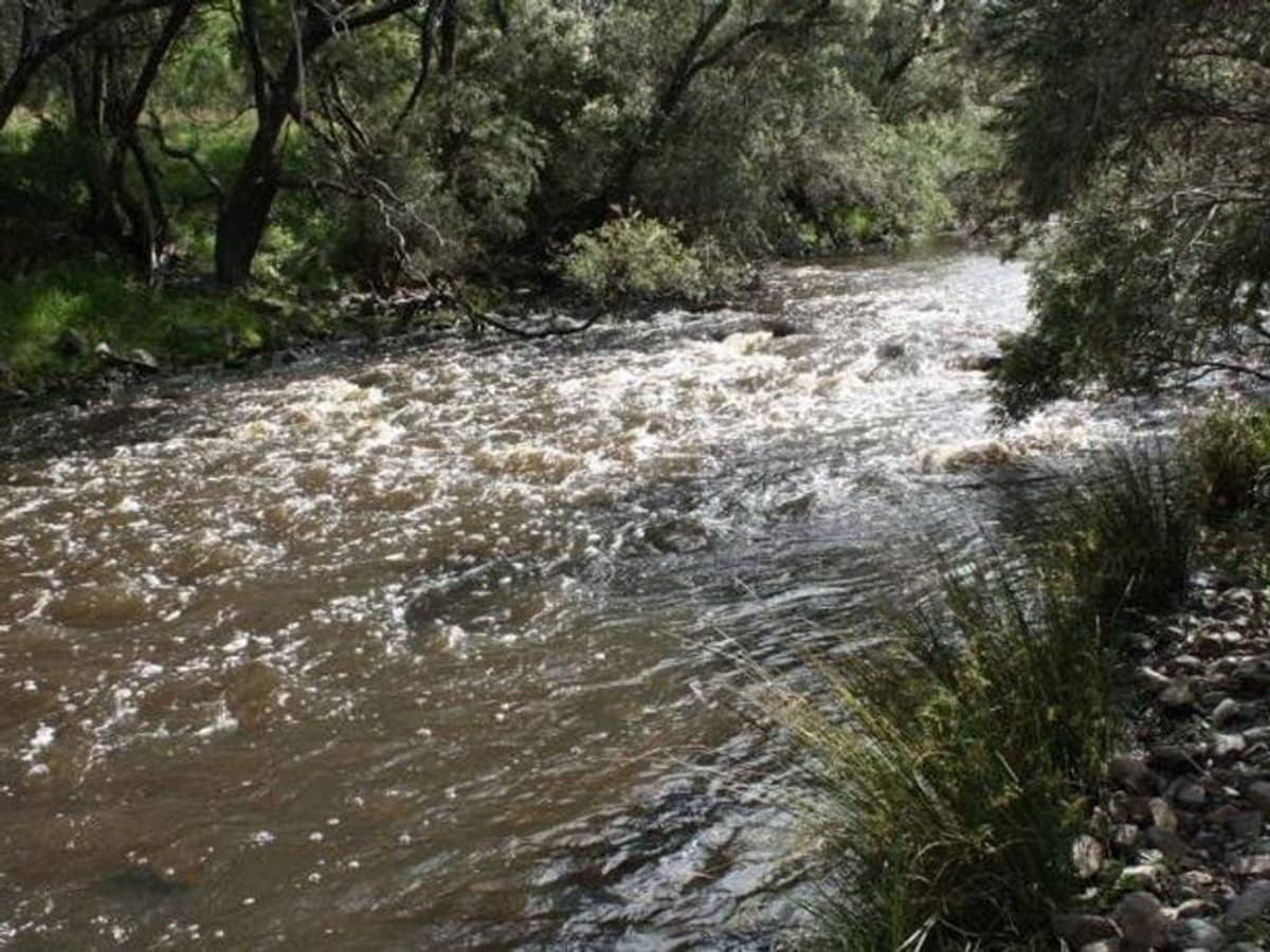 10 Mountain Creek Road, Mole River - Thumbnail 4