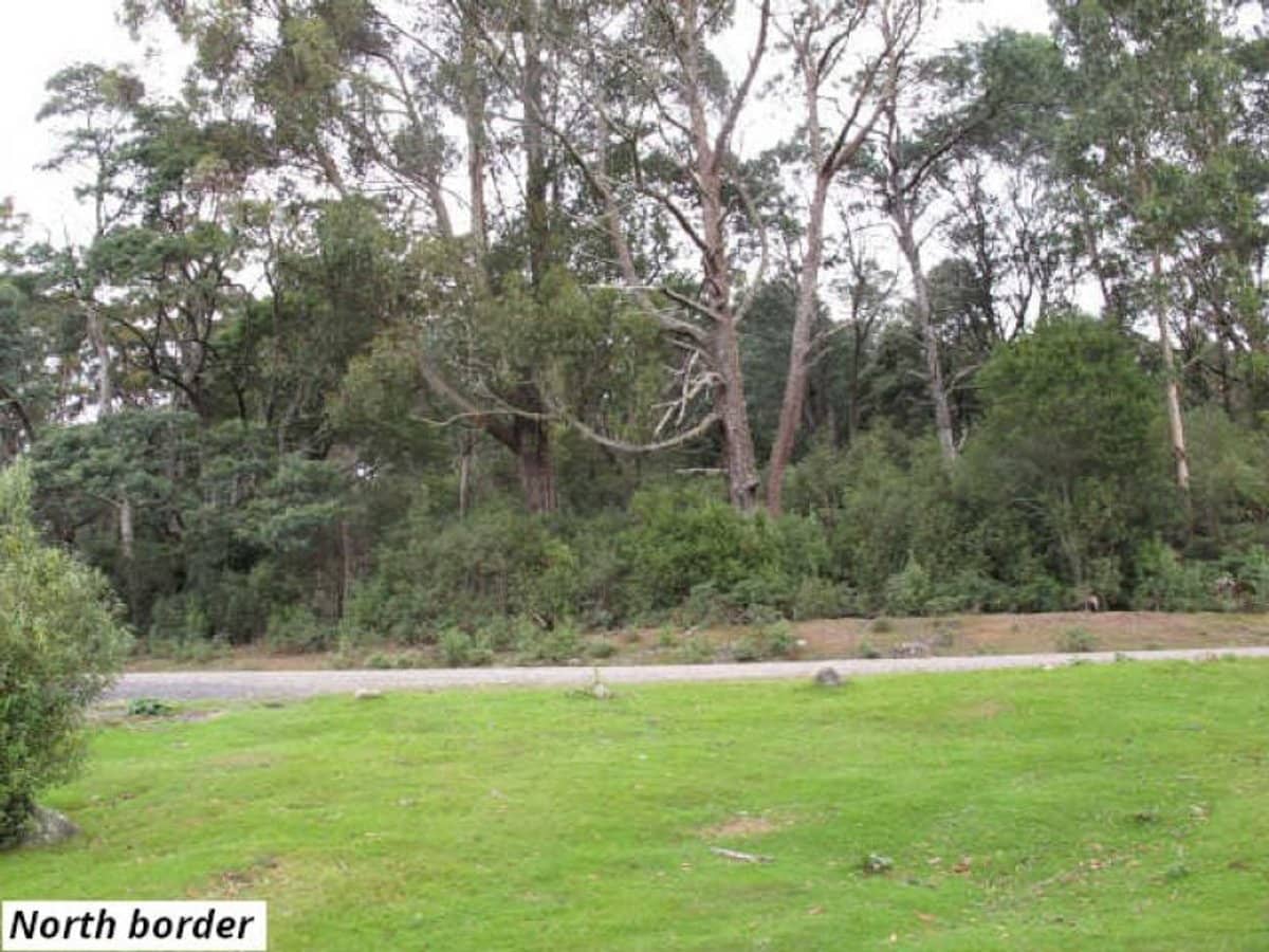 755 Lottah Road, Lottah - Thumbnail 3