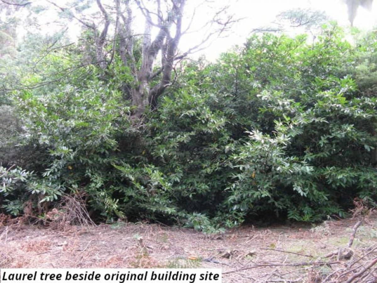 755 Lottah Road, Lottah - Thumbnail 4