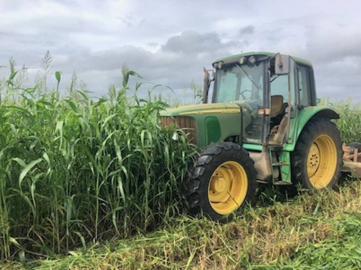 190 Riverview Road, Calavos - Thumbnail 8