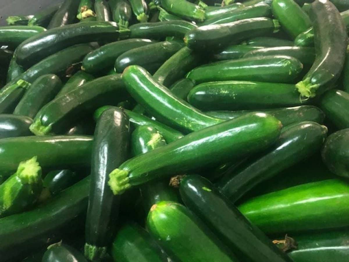 190 Riverview Road, Calavos - Thumbnail 9