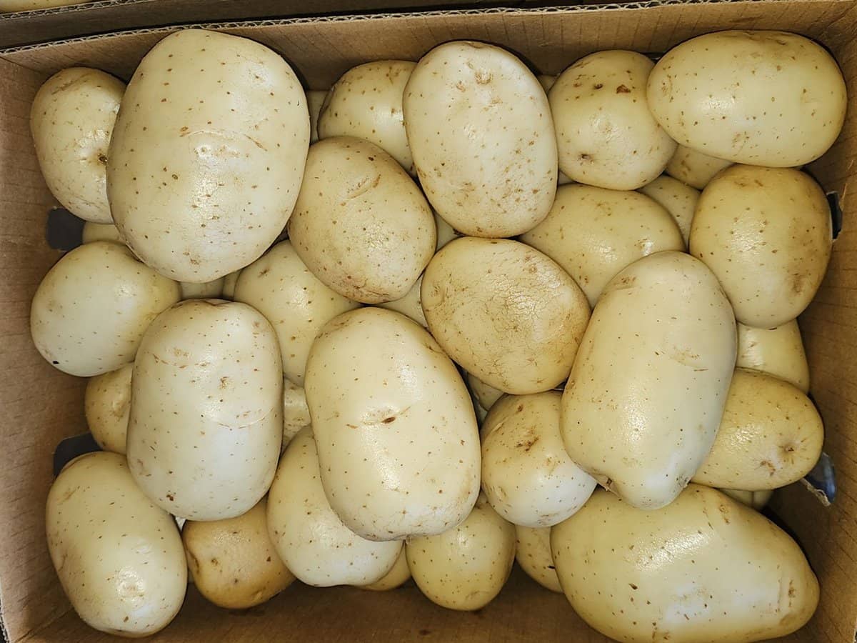 190 Riverview Road, Calavos - Thumbnail 17