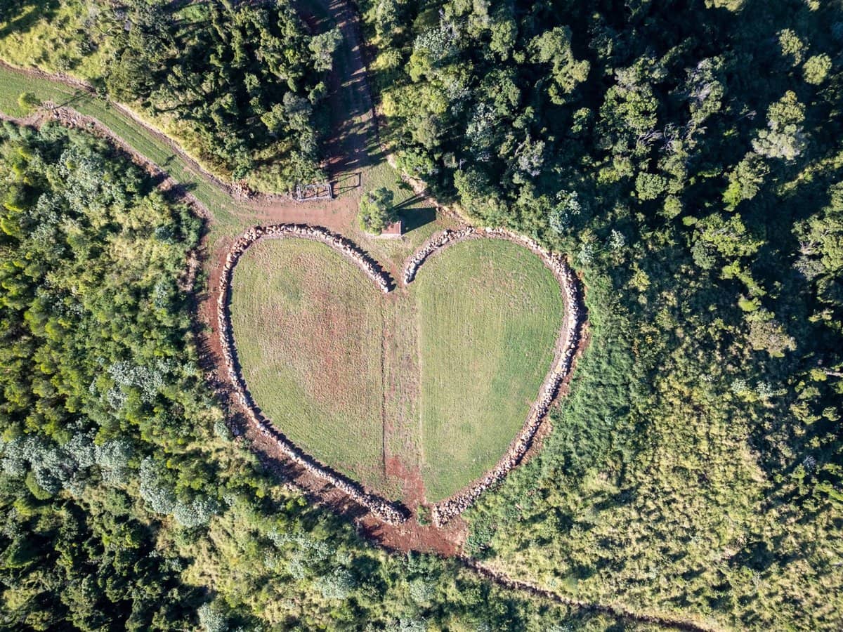 123 Lutter Road, Charlwood - Thumbnail 8