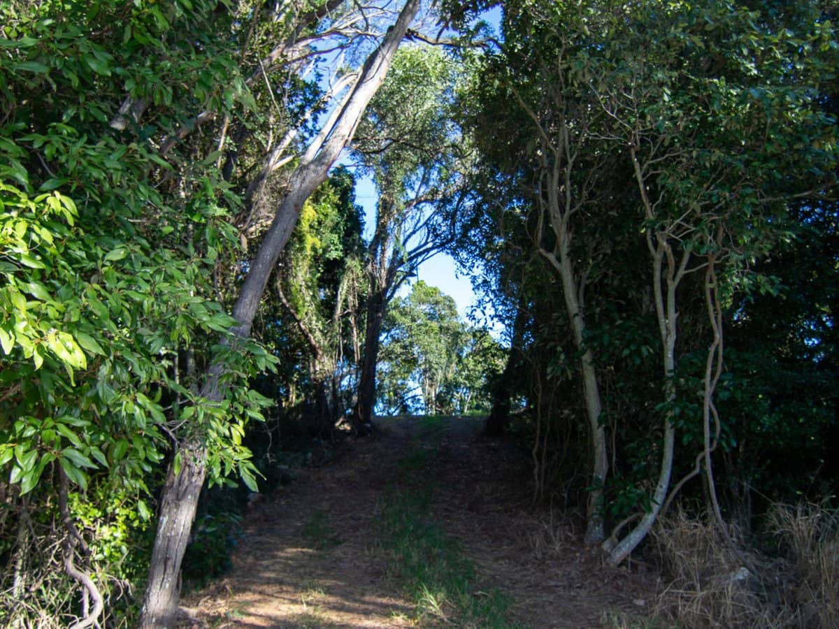 123 Lutter Road, Charlwood - Thumbnail 27