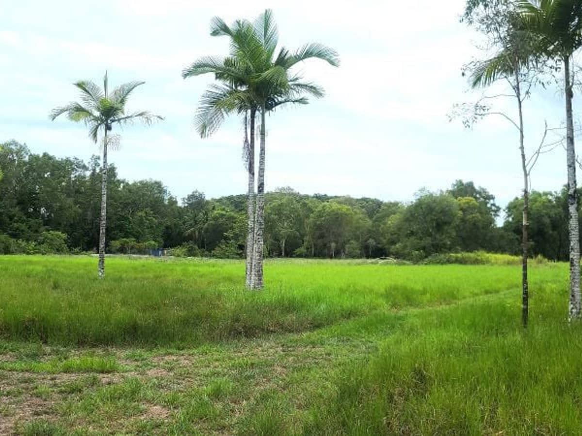 11 Armanasco Road, Bramston Beach - Thumbnail 7