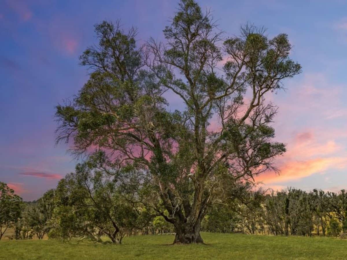 78 Ridge View Avenue, Boyup Brook - Thumbnail 3