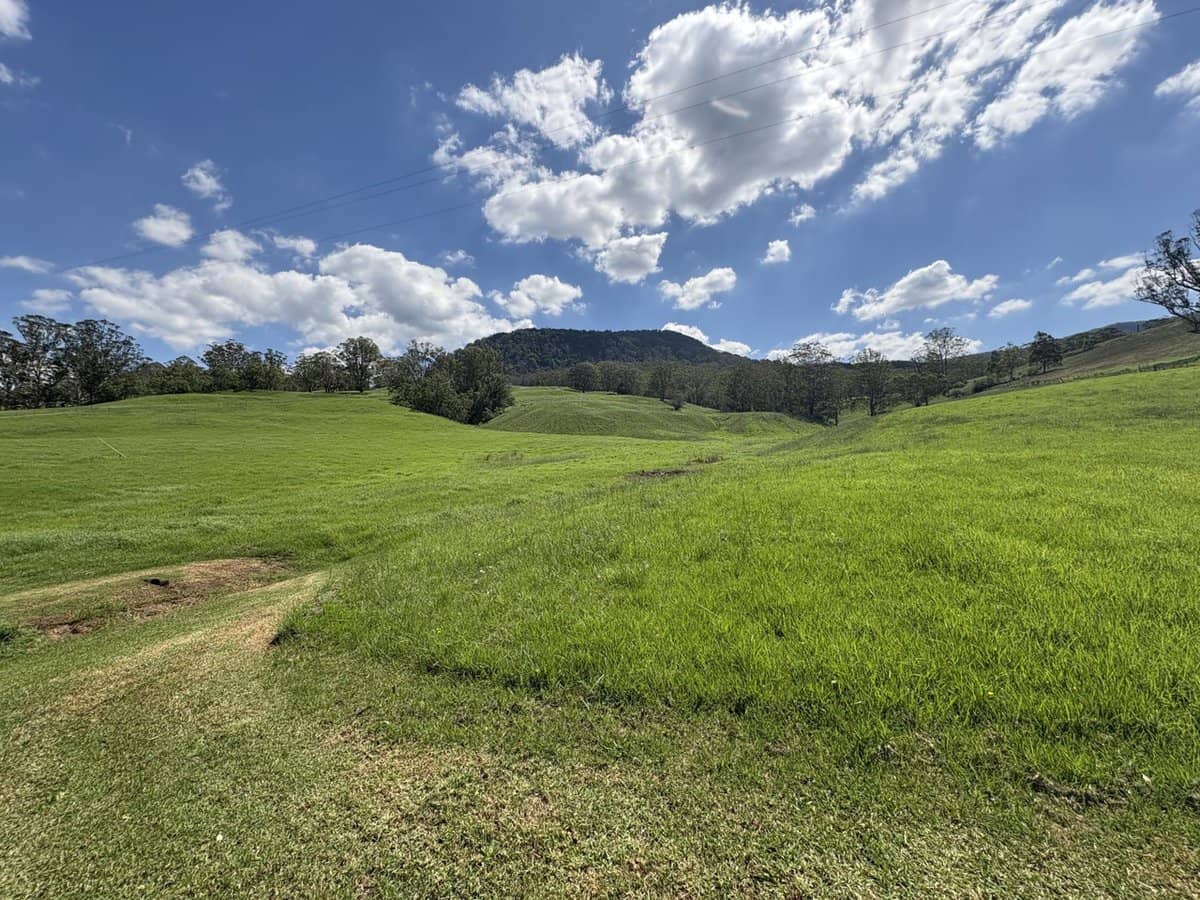 2393 Moss Vale Road, Kangaroo Valley - Thumbnail 9