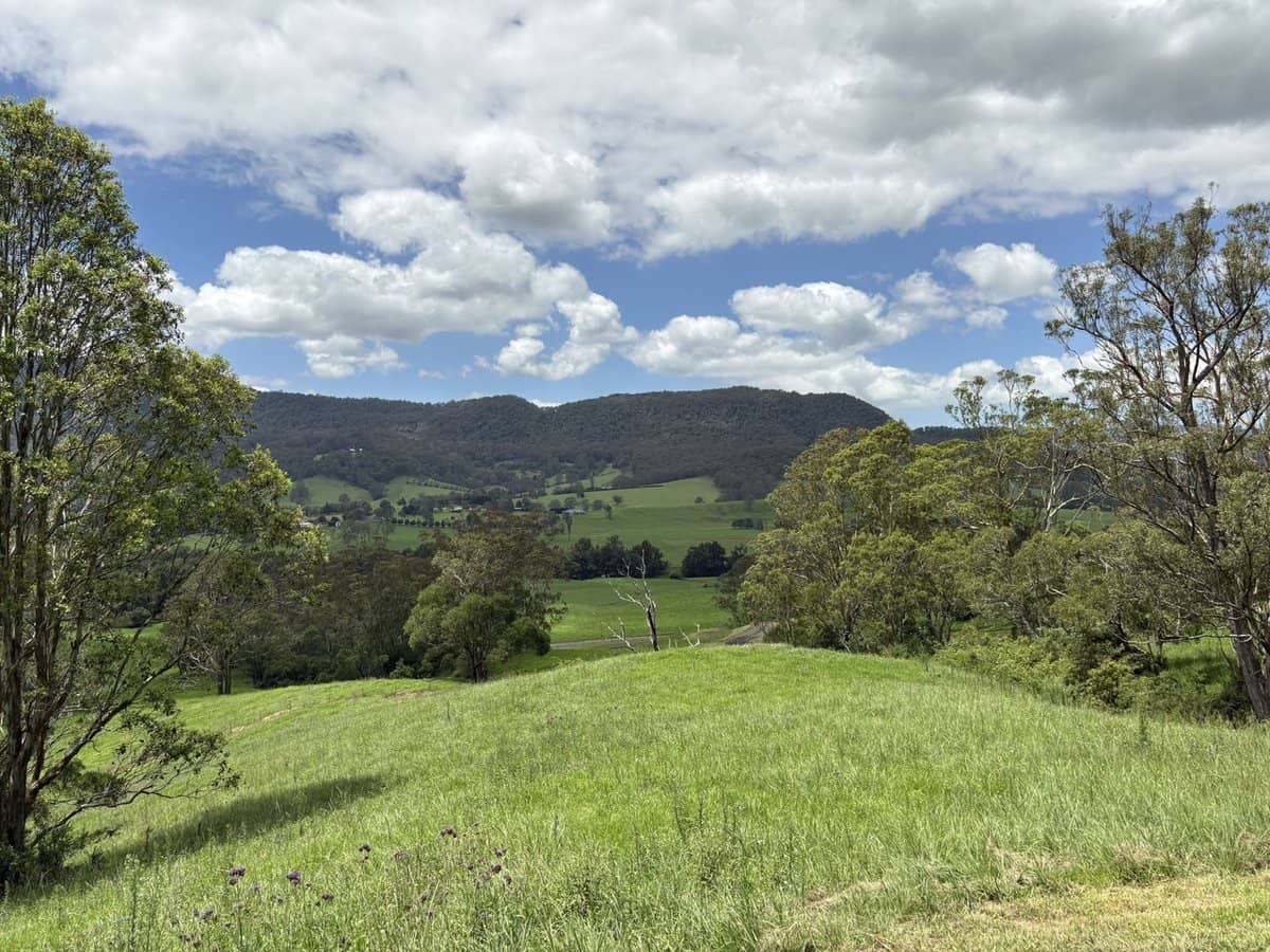 2393 Moss Vale Road, Kangaroo Valley - Thumbnail 13