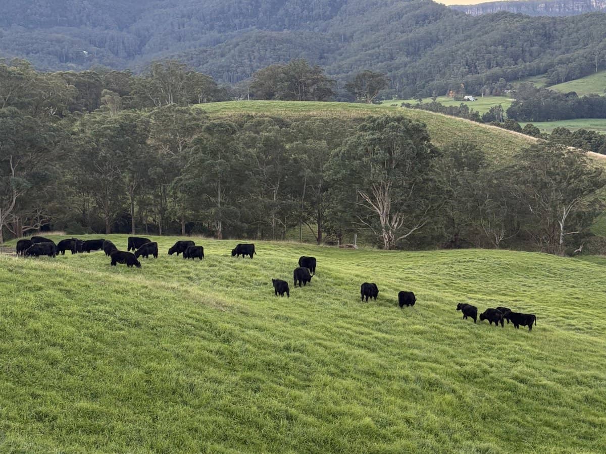 2393 Moss Vale Road, Kangaroo Valley - Thumbnail 18