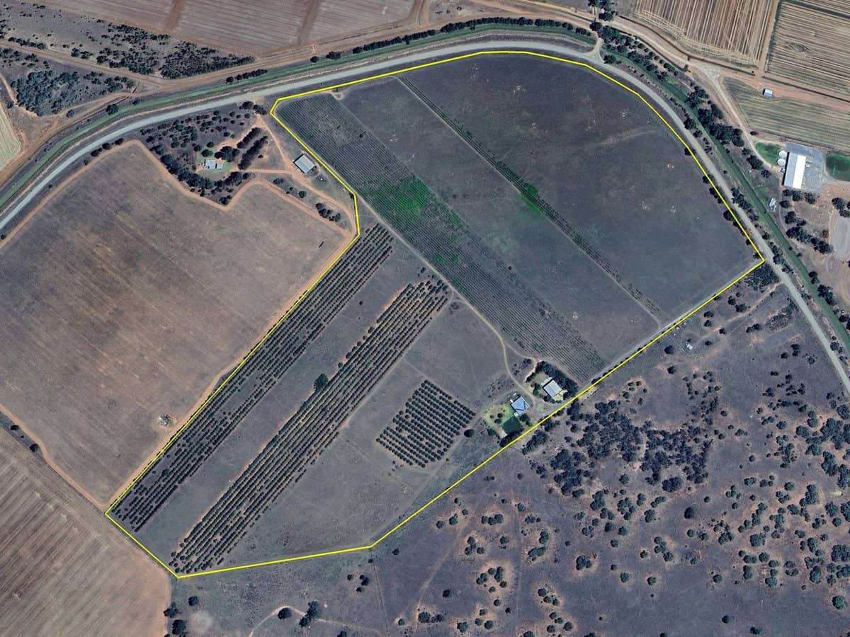 71 Kyola Road, Coleambally - Thumbnail 1