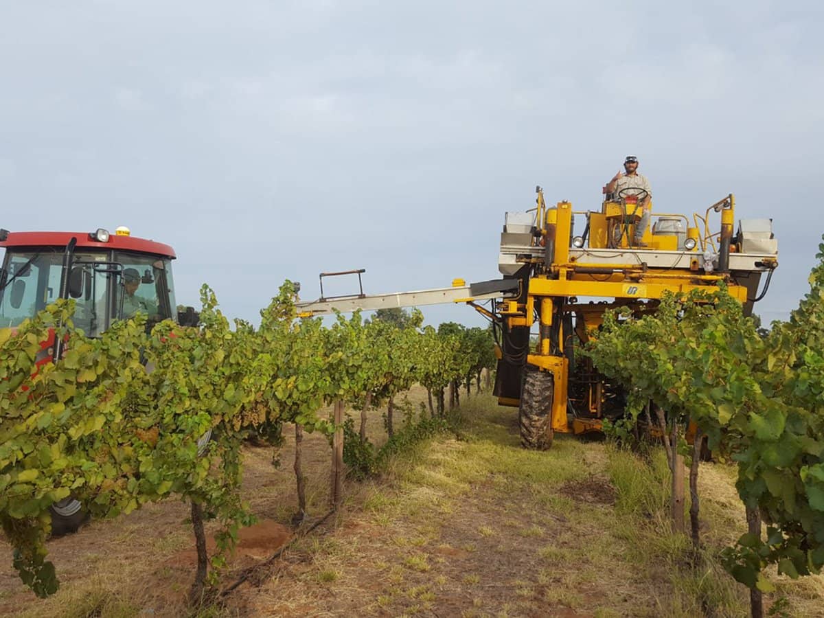 71 Kyola Road, Coleambally - Thumbnail 7