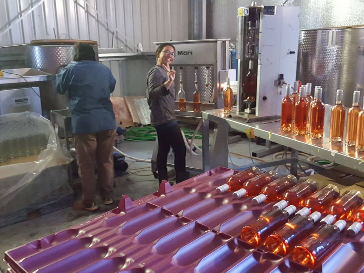 71 Kyola Road, Coleambally - Thumbnail 13