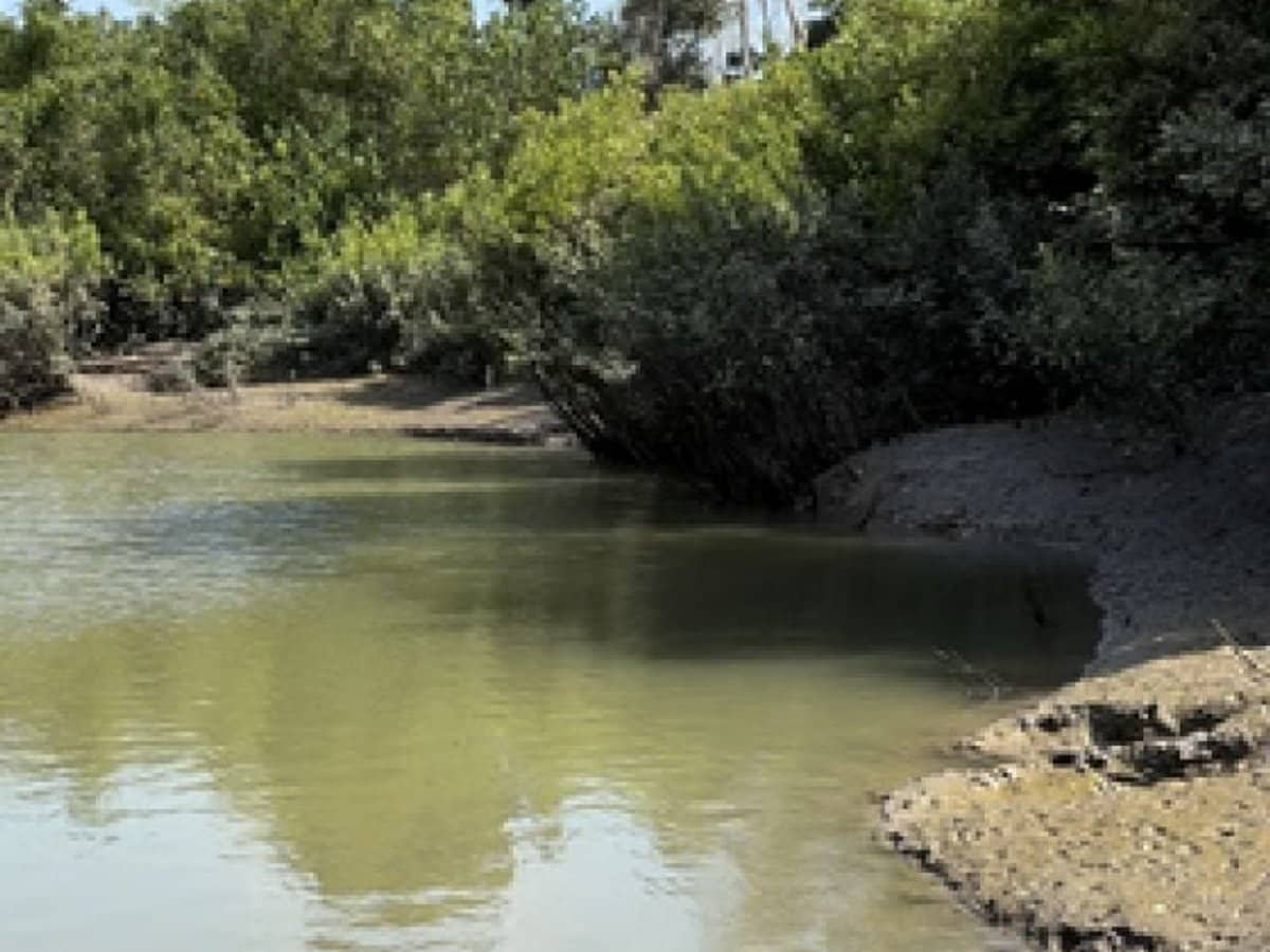 104 Mount Ossa Seaforth Road, Mount Ossa - Thumbnail 5