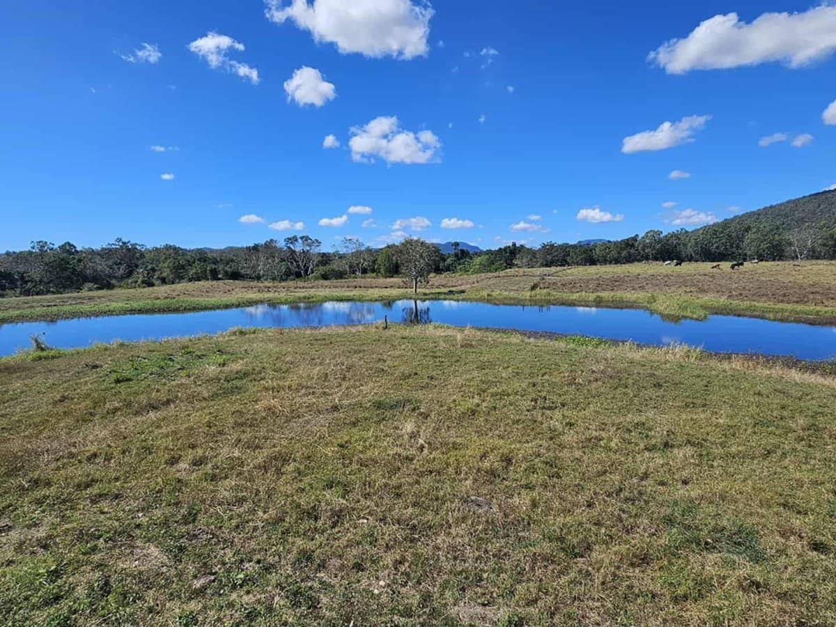 104 Mount Ossa Seaforth Road, Mount Ossa - Thumbnail 7