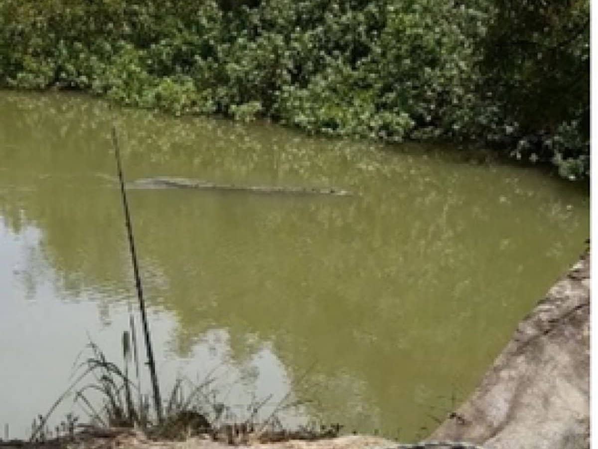 104 Mount Ossa Seaforth Road, Mount Ossa - Thumbnail 8