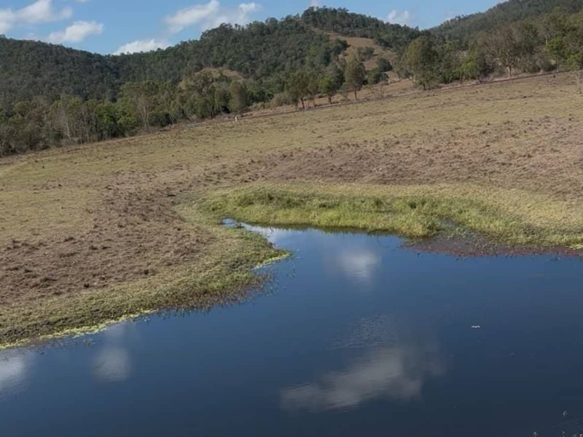 104 Mount Ossa Seaforth Road, Mount Ossa - Thumbnail 11