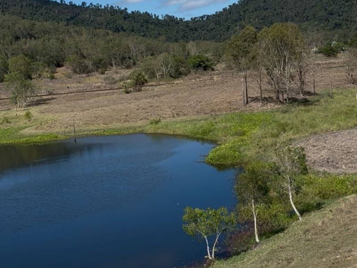 104 Mount Ossa Seaforth Road, Mount Ossa - Thumbnail 13