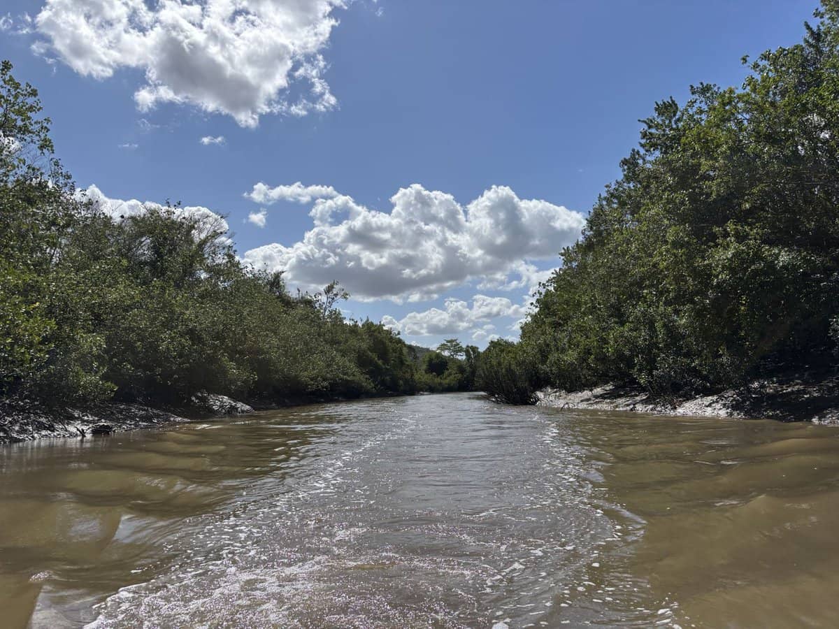 104 Mount Ossa Seaforth Road, Mount Ossa - Thumbnail 14