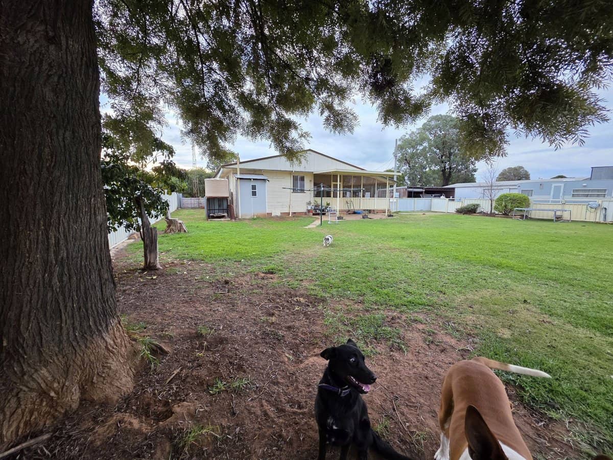 50 Dallas Street, Yanco - Thumbnail 22