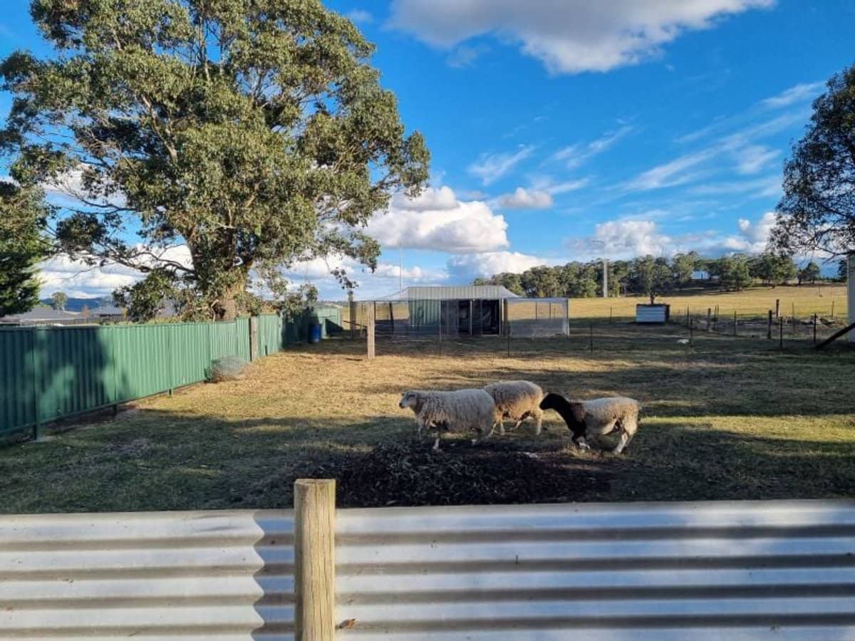 16 Rupert Street, Oberon - Thumbnail 18