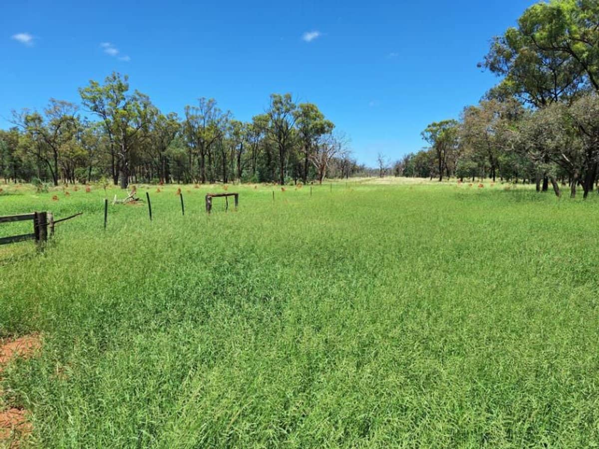 6743 Dunrobin Road, Jericho - Thumbnail 16