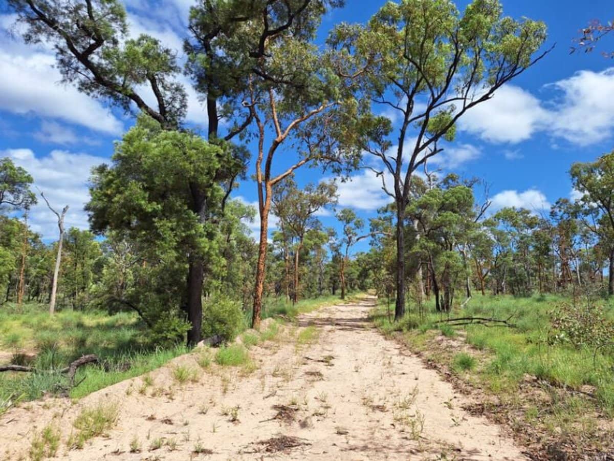 6743 Dunrobin Road, Jericho - Thumbnail 18