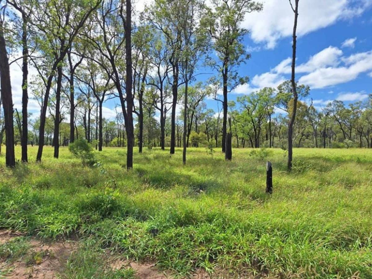 6743 Dunrobin Road, Jericho - Thumbnail 21