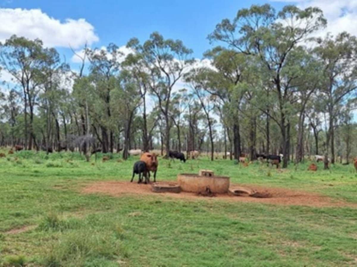 6743 Dunrobin Road, Jericho - Thumbnail 25