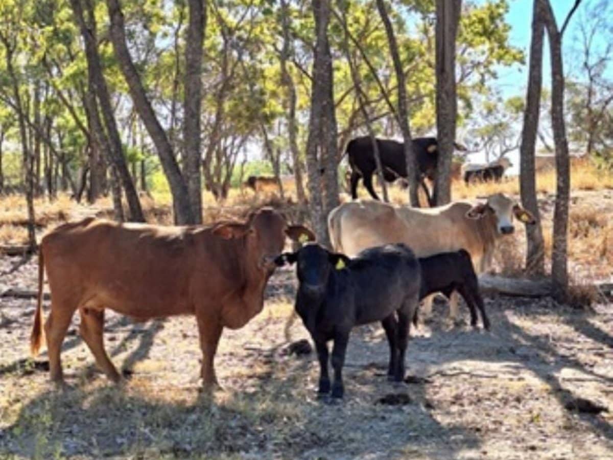 6743 Dunrobin Road, Jericho - Thumbnail 26