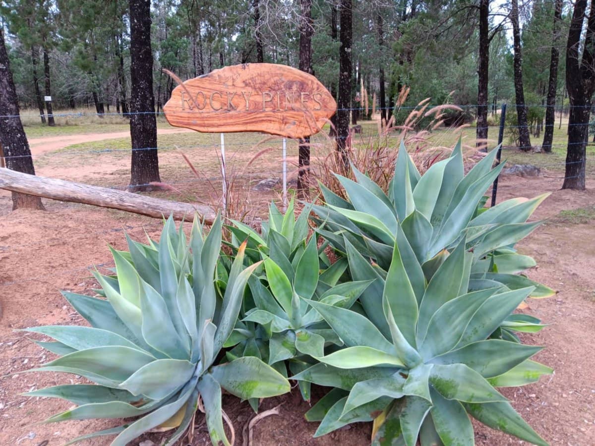 115 Smithfield Mundoey Road, Smithlea - Thumbnail 5