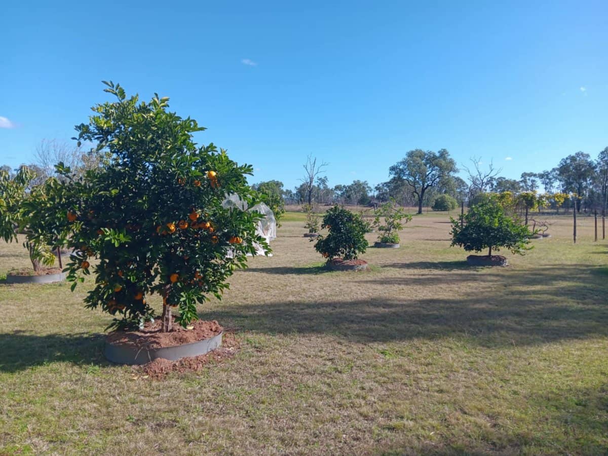 115 Smithfield Mundoey Road, Smithlea - Thumbnail 26