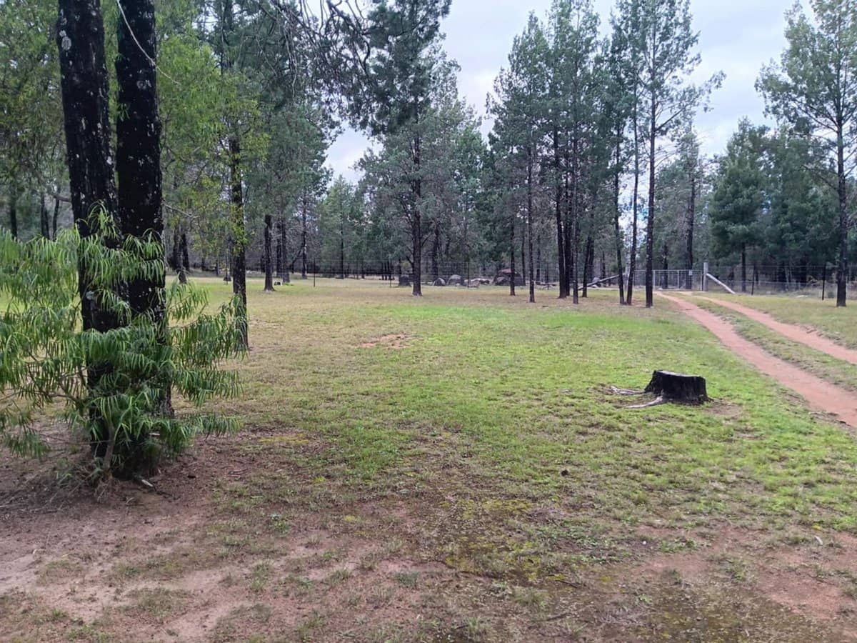 115 Smithfield Mundoey Road, Smithlea - Thumbnail 31