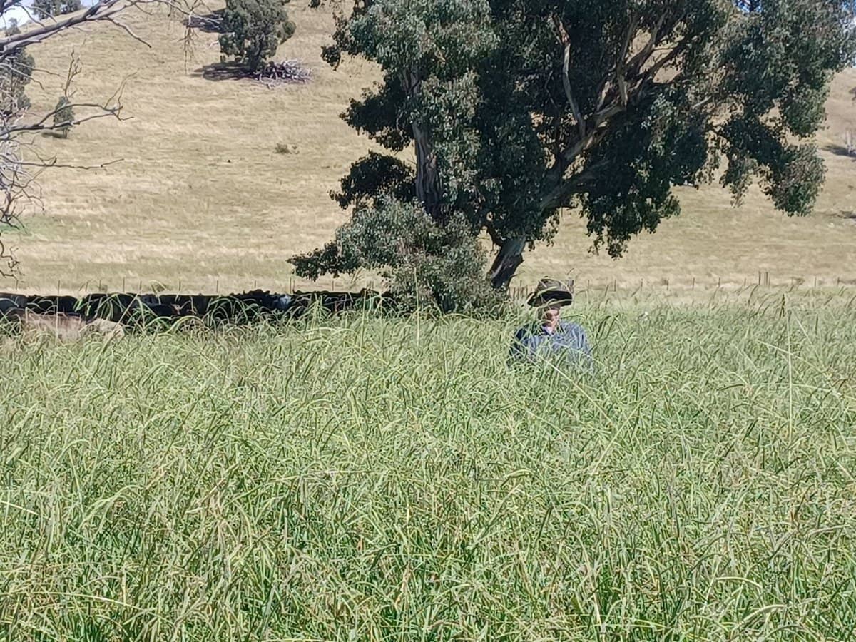 3924 Hume Highway, Tarcutta - Thumbnail 2