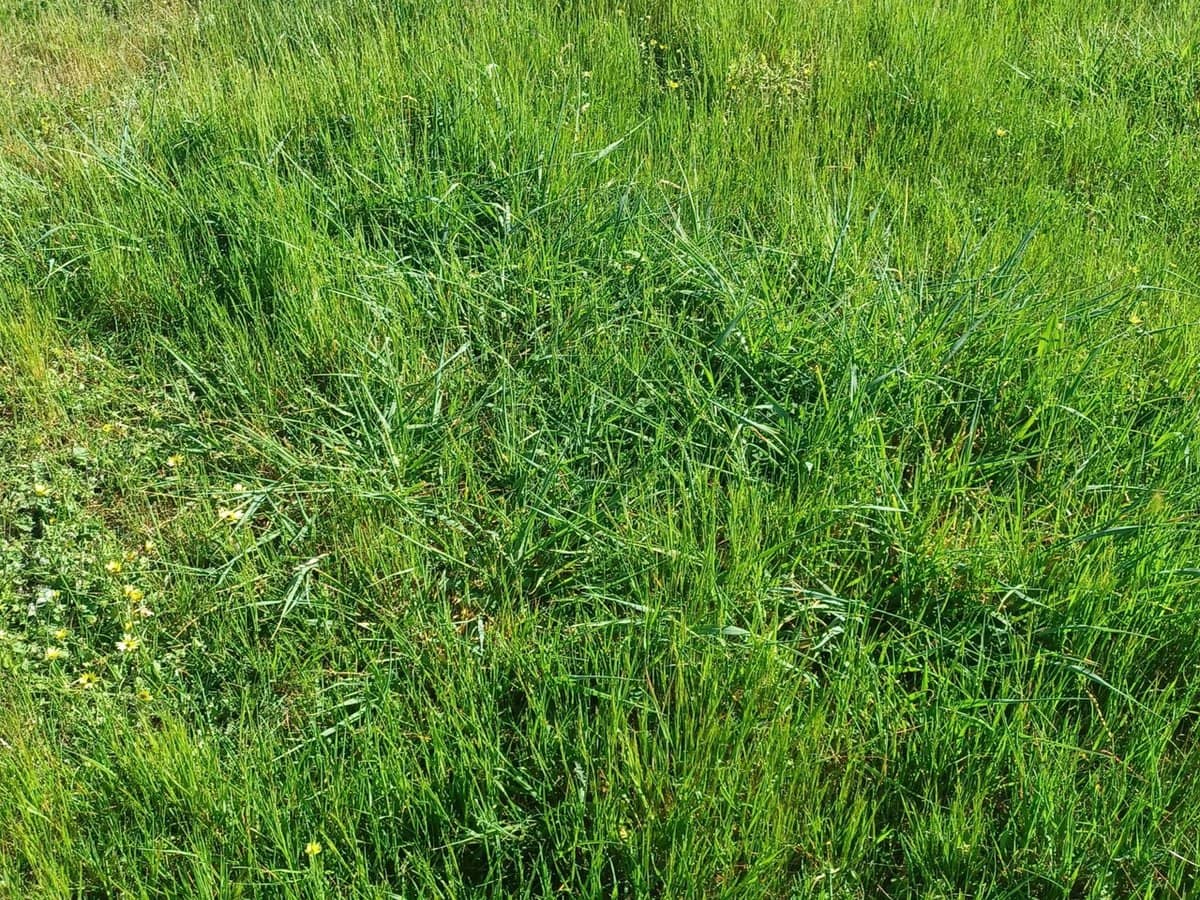 3924 Hume Highway, Tarcutta - Thumbnail 4