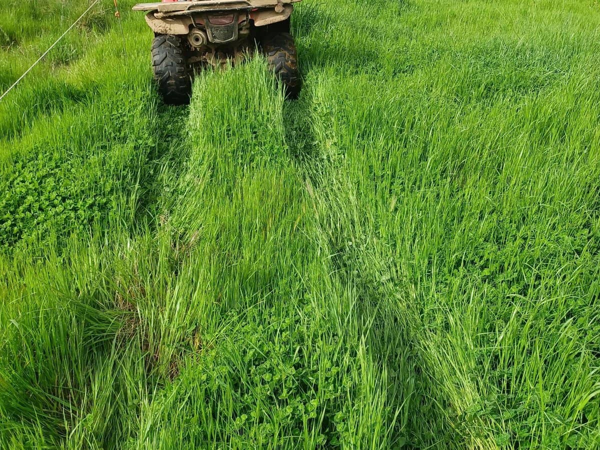 3924 Hume Highway, Tarcutta - Thumbnail 6