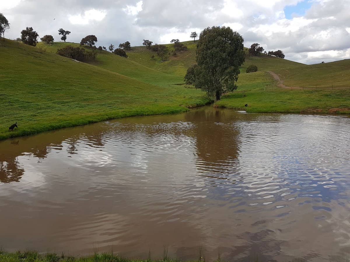 3924 Hume Highway, Tarcutta - Thumbnail 9