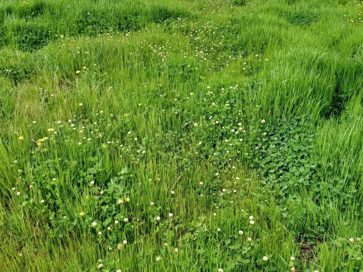 3924 Hume Highway, Tarcutta - Thumbnail 13