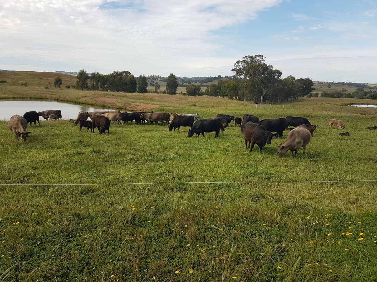 3924 Hume Highway, Tarcutta - Thumbnail 14