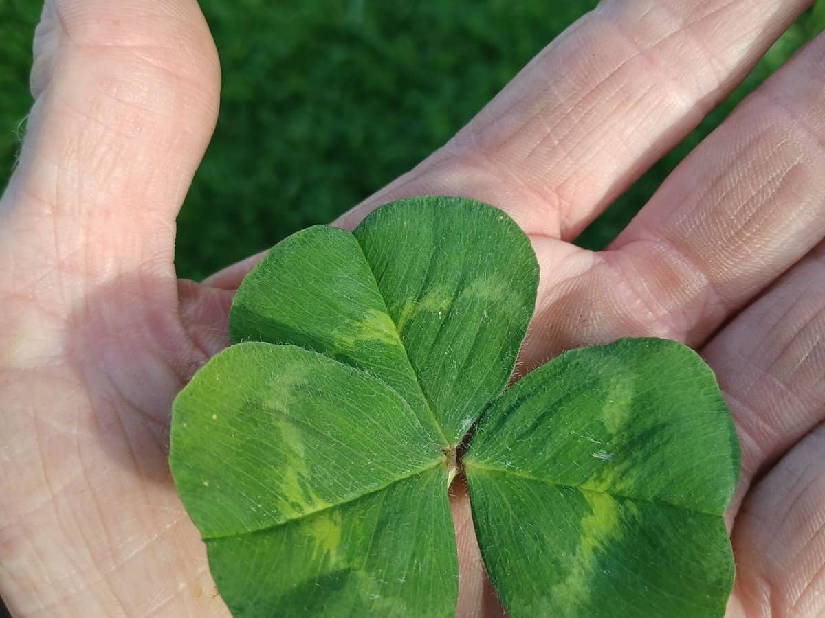 3924 Hume Highway, Tarcutta - Thumbnail 16