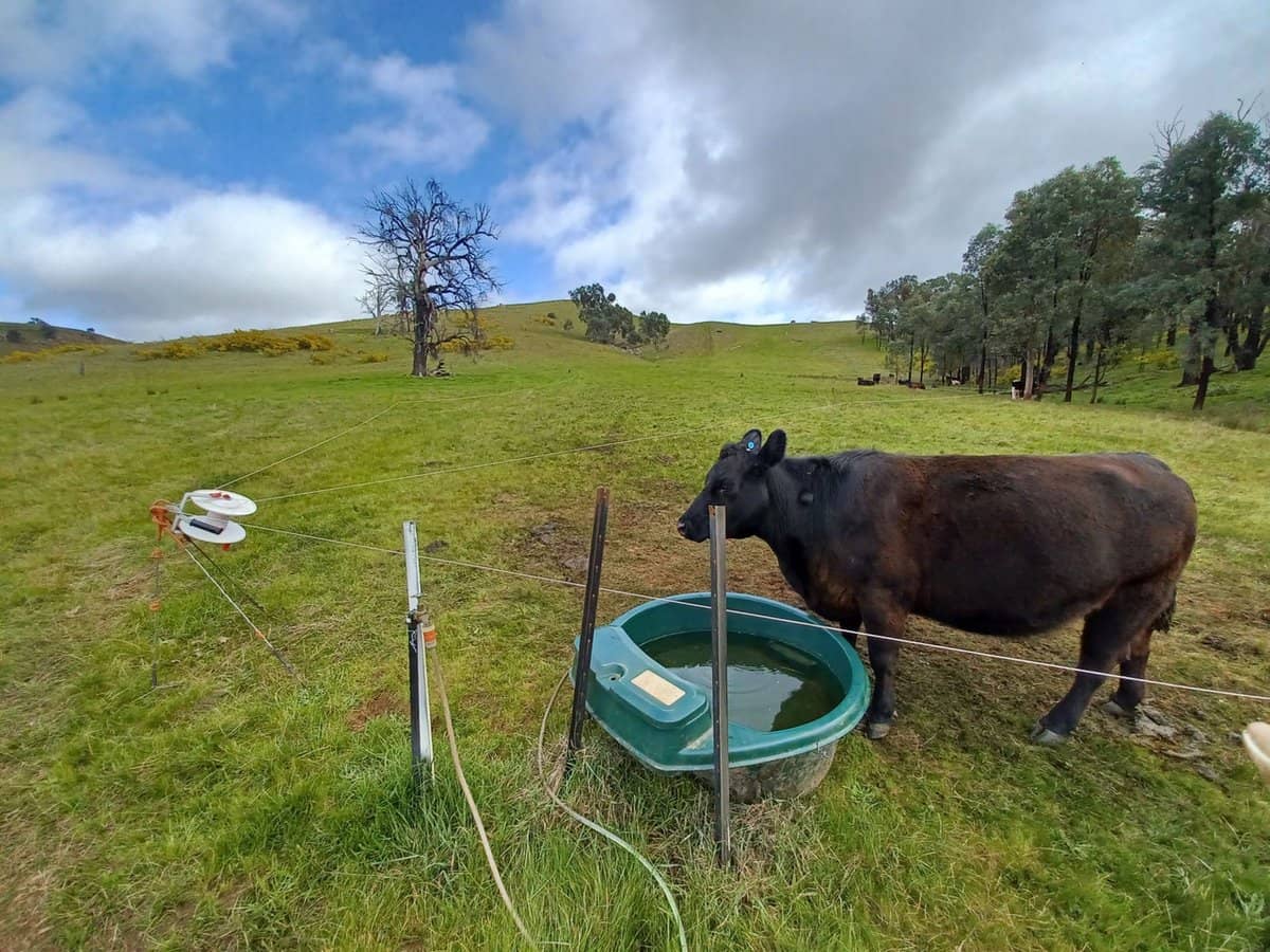 3924 Hume Highway, Tarcutta - Thumbnail 17