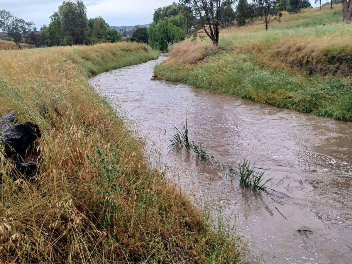 3924 Hume Highway, Tarcutta - Thumbnail 19