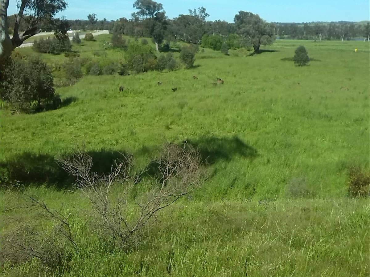 3924 Hume Highway, Tarcutta - Thumbnail 22